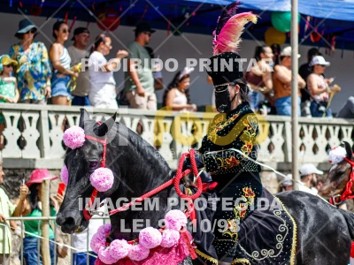 Detalhes da foto #55237