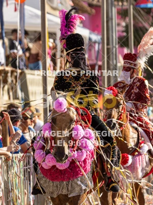 Detalhes da foto #44259