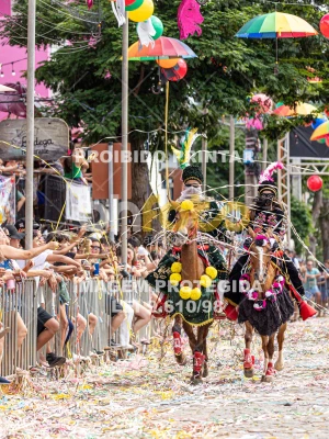 Detalhes da foto #22006