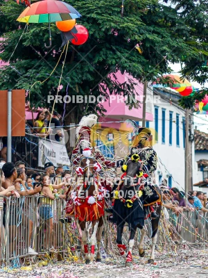 Detalhes da foto #85882