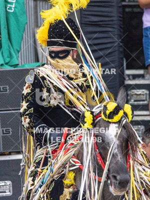 Detalhes da foto #47902