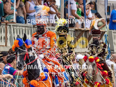 Detalhes da foto #74650