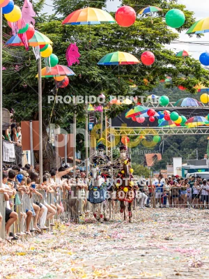 Detalhes da foto #51514