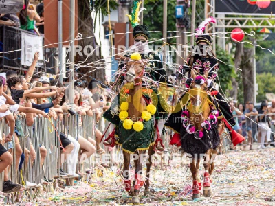 Detalhes da foto #28129