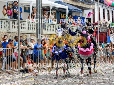 Detalhes da foto #84181