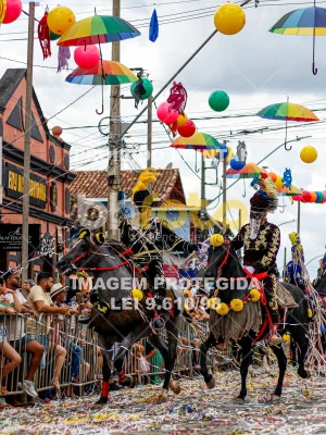 Detalhes da foto #98163