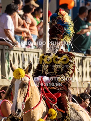 Detalhes da foto #69065