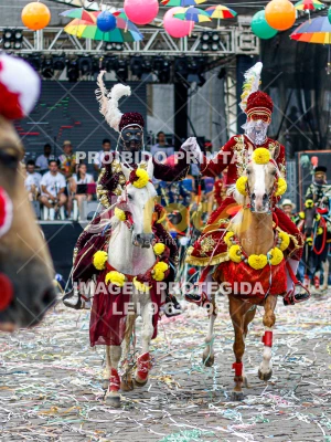 Detalhes da foto #42085