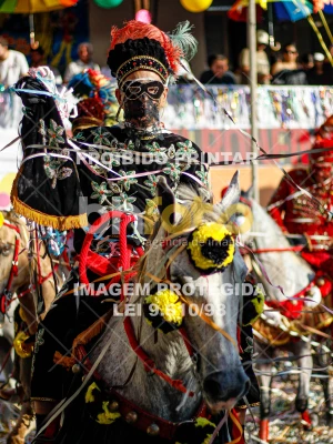 Detalhes da foto #90969