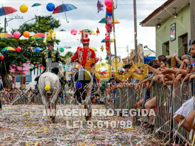 Detalhes da foto #60344