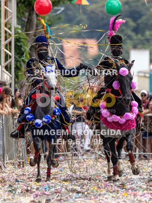 Detalhes da foto #64915