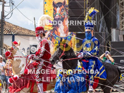 Detalhes da foto #46042