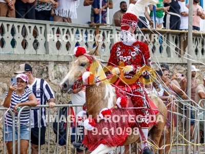 Detalhes da foto #84488