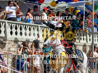 Detalhes da foto #82311