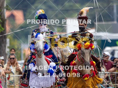 Detalhes da foto #95350