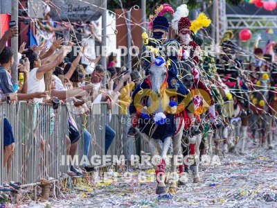 Detalhes da foto #47646