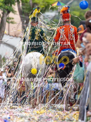 Detalhes da foto #58723