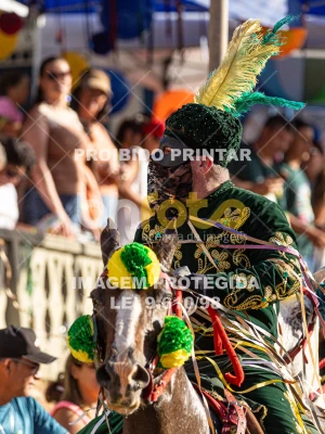 Detalhes da foto #99808