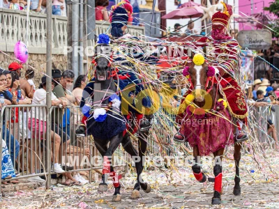 Detalhes da foto #88350
