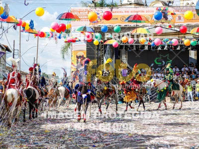 Detalhes da foto #91988