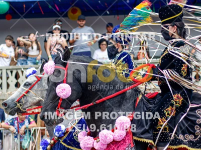 Detalhes da foto #81283