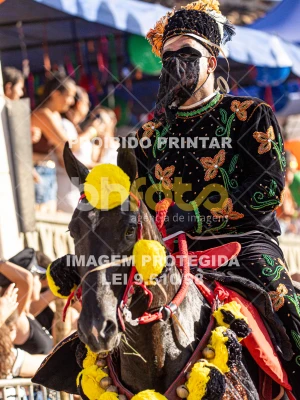 Detalhes da foto #69116