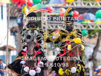 Detalhes da foto #88826