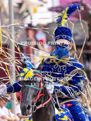 Detalhes da foto #77482