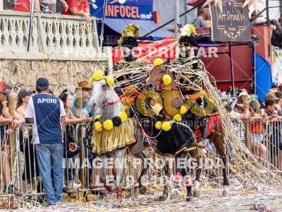 Detalhes da foto #54707