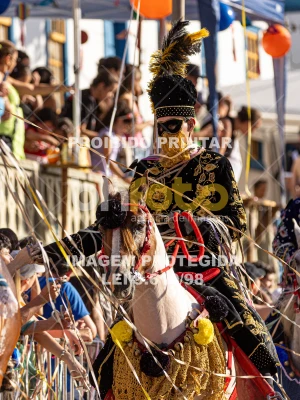 Detalhes da foto #74669