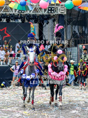 Detalhes da foto #47829