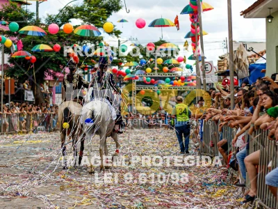 Detalhes da foto #71719