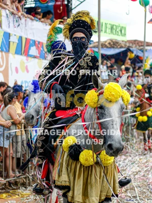 Detalhes da foto #31787