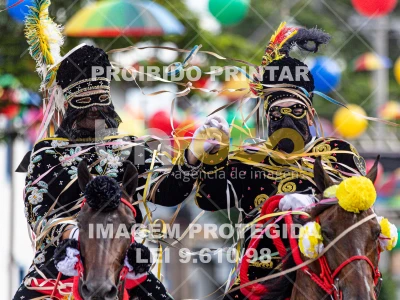 Detalhes da foto #39867