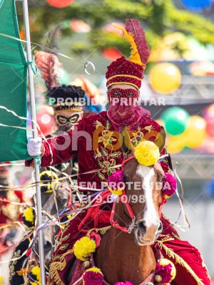 Detalhes da foto #75756