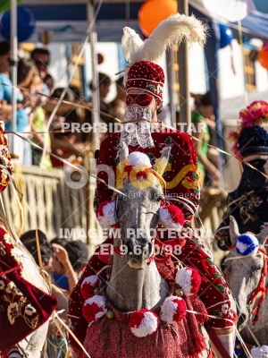 Detalhes da foto #35482