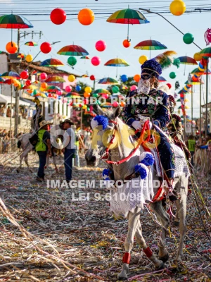 Detalhes da foto #86604