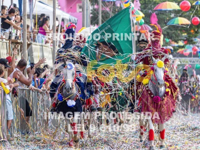 Detalhes da foto #74155