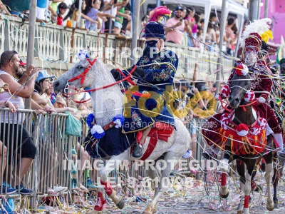 Detalhes da foto #82103