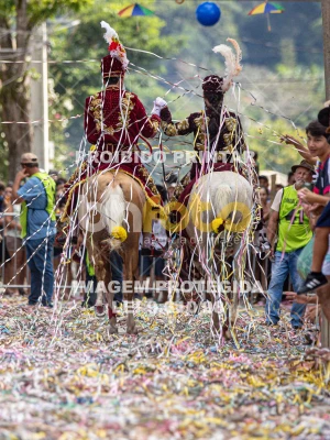 Detalhes da foto #77930
