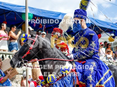 Detalhes da foto #49733