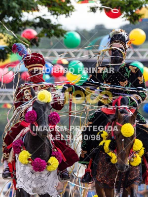 Detalhes da foto #22967