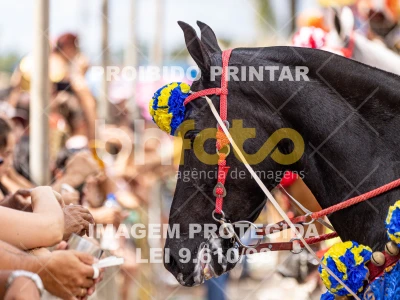 Detalhes da foto #52926