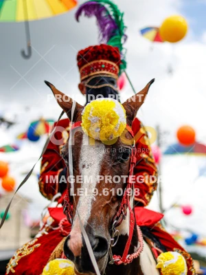 Detalhes da foto #27797