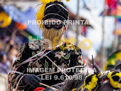 Detalhes da foto #80699