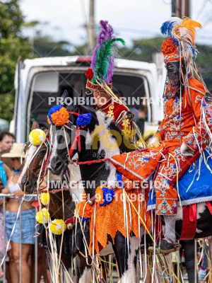 Detalhes da foto #13690