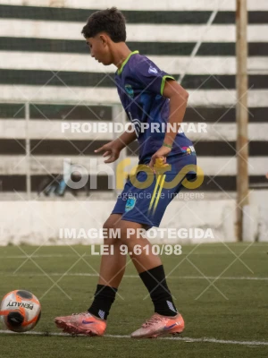 Detalhes da foto #2317532
