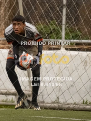 Detalhes da foto #6889077