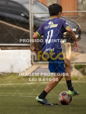 Detalhes da foto #3295774