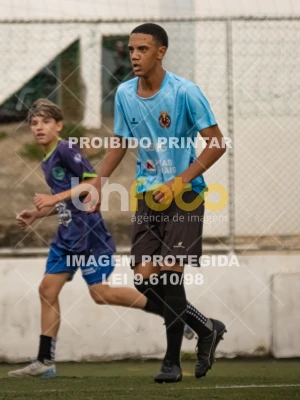 Detalhes da foto #3635070